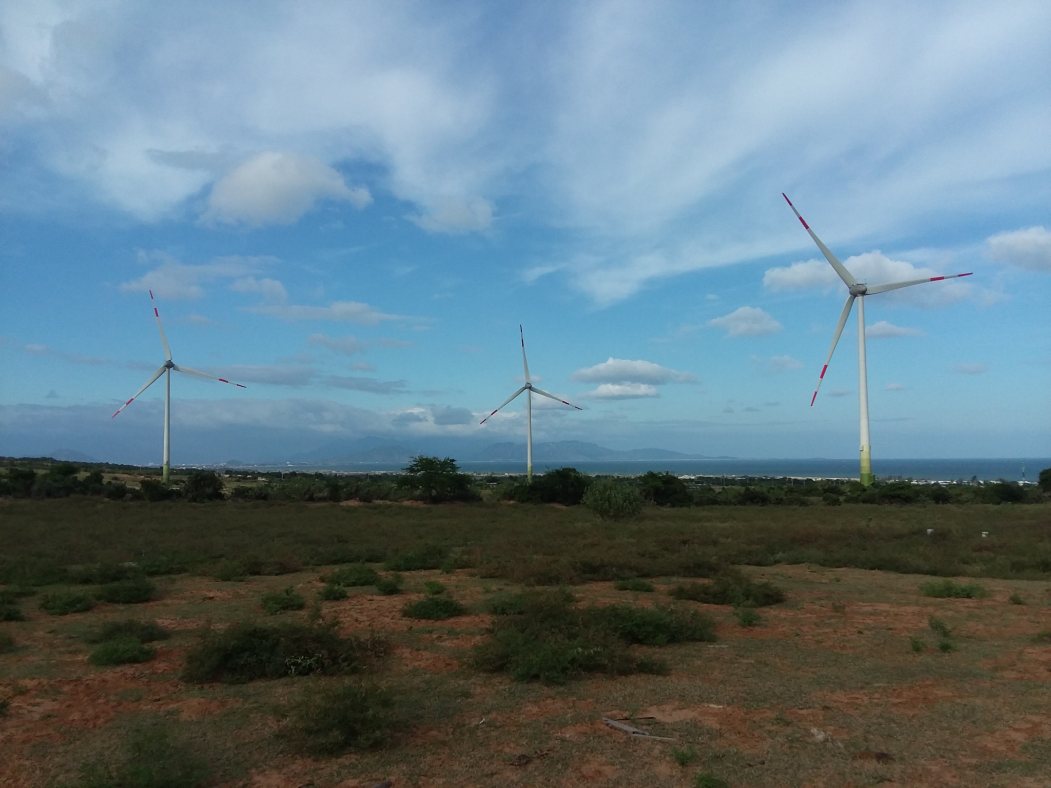 Ficus Capital acted as exclusive M&A advisor to ven-wind New Energy regarding the sale of Mui Dinh project, a 37.6 MW wind farm in Vietnam